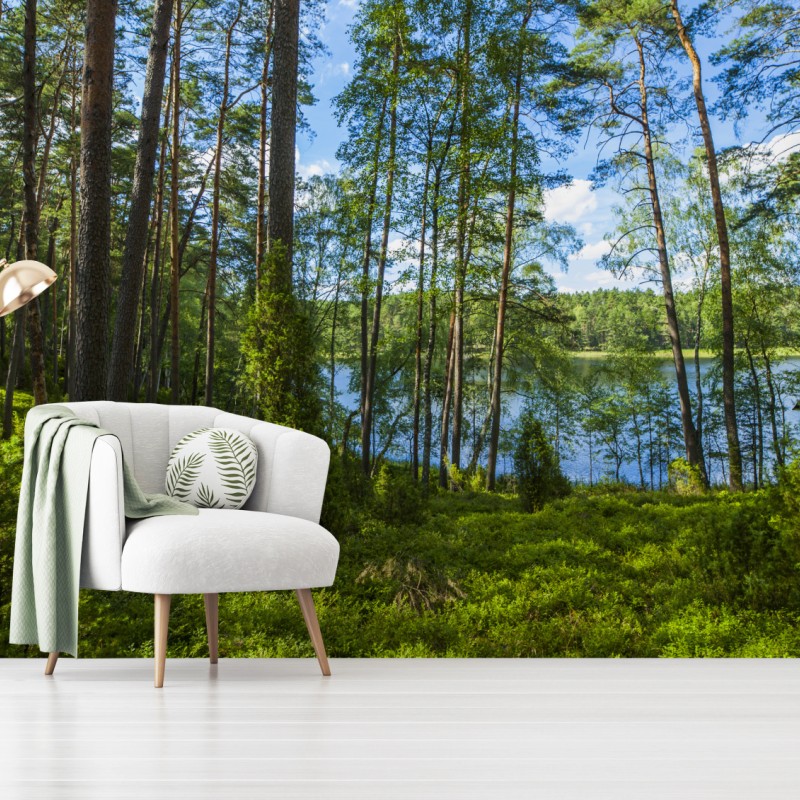 Fototapete ruhiger kiefernwald am see – Wallnifity®