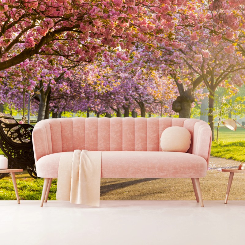 Fototapete kirschblütenallee im frühling