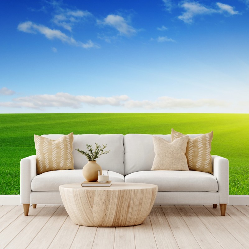 Fototapete sonnenbeschienene grüne wiese im morgenlicht – Wallnifity®