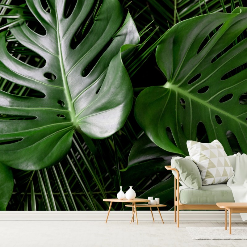 Fototapete üppige monstera-blätter – Wallnifity®