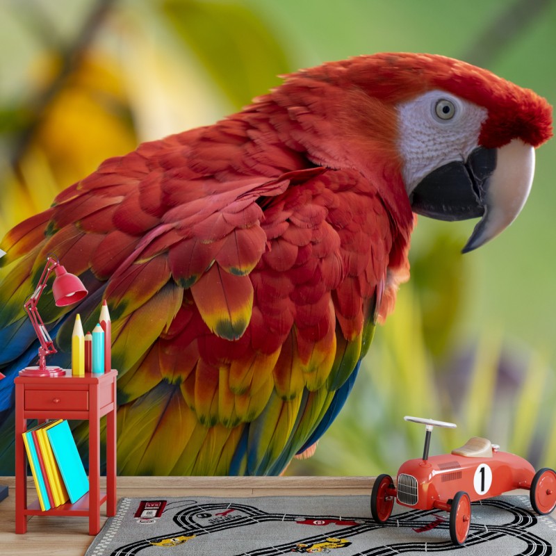 Fototapete intensives porträt einer scharlachara – Wallnifity®