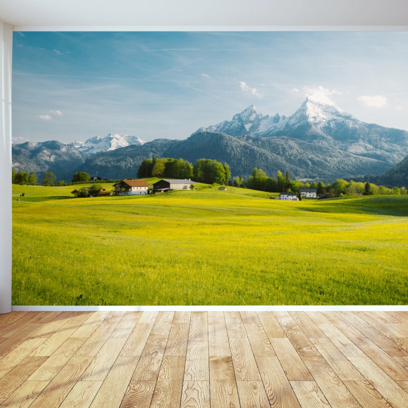 Fototapete alpwiese unter schneebedeckten gipfeln – Wallnifity®