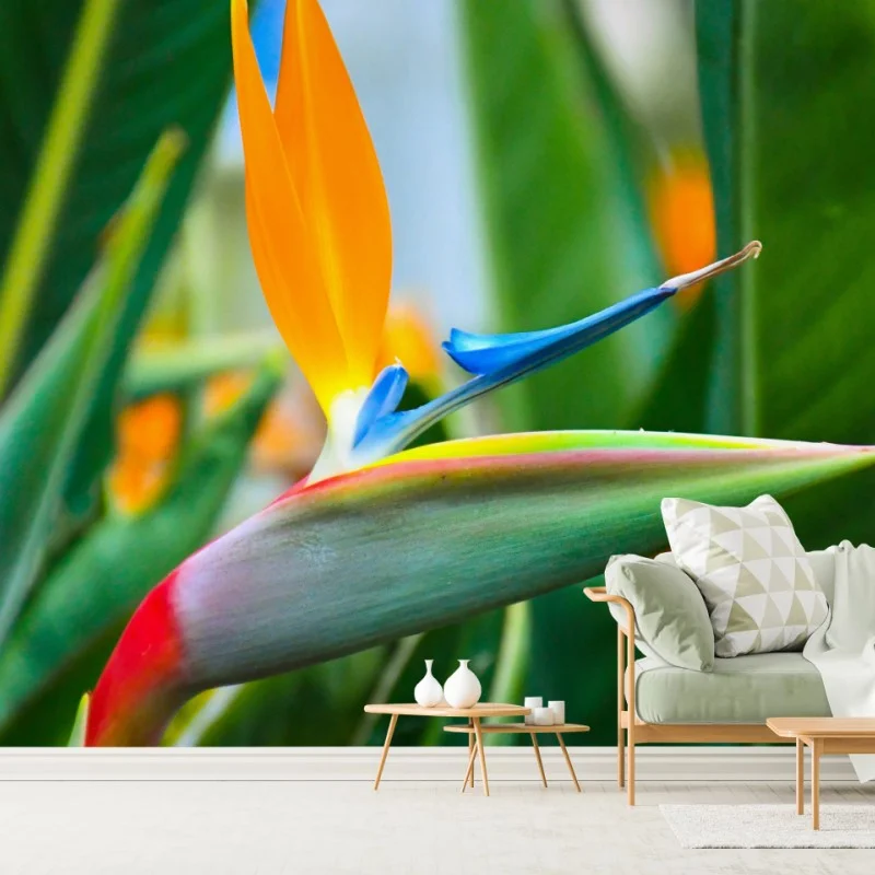 Fototapete leuchtende paradiesvogelblume