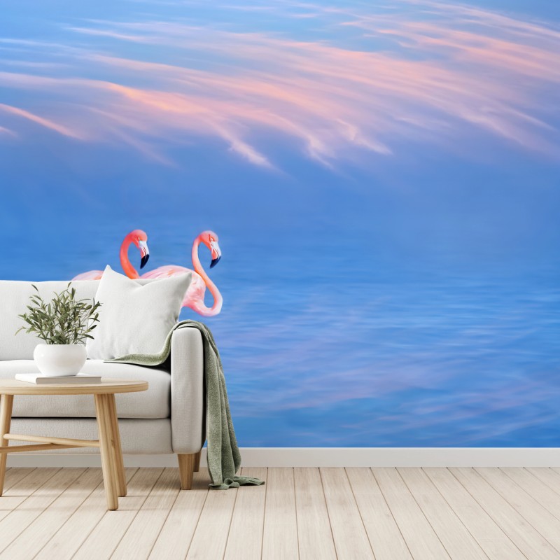 Fototapete rosa flamingos auf pastellfarbenem wasser – Wallnifity®