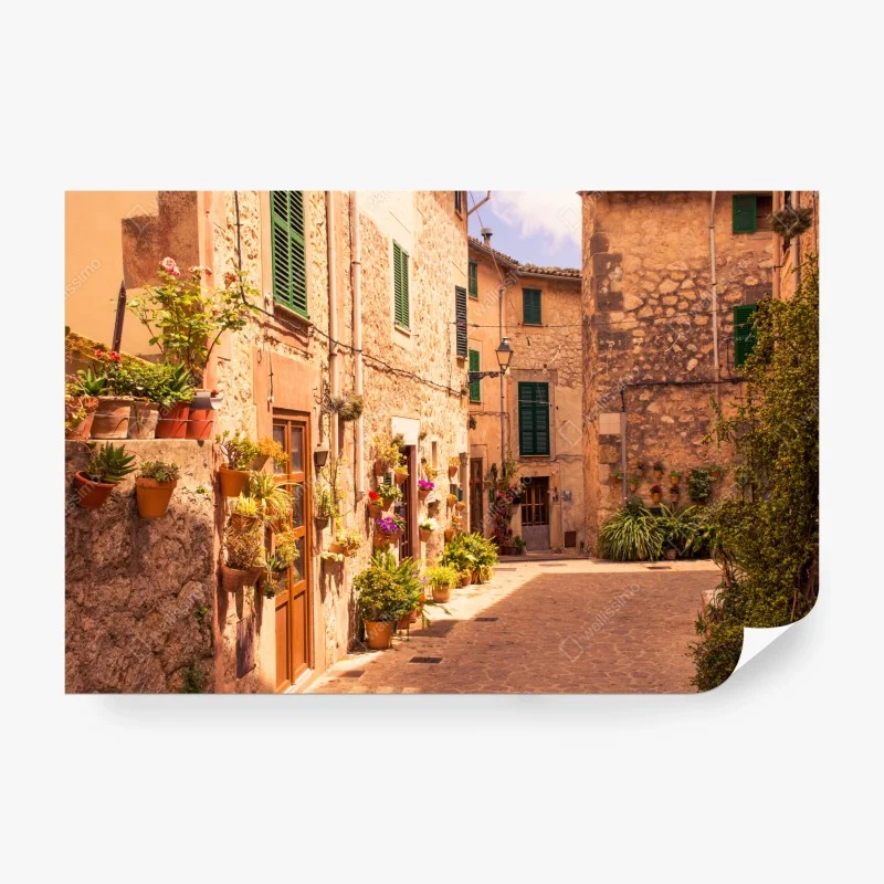 Fototapete sonnige mediterrane gasse mit blumentöpfen – Wallnifity®