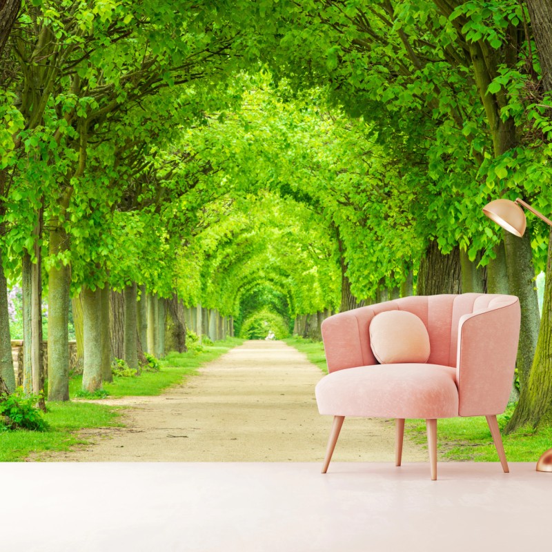 Fototapete grüner baumtunnel – Wallnifity®
