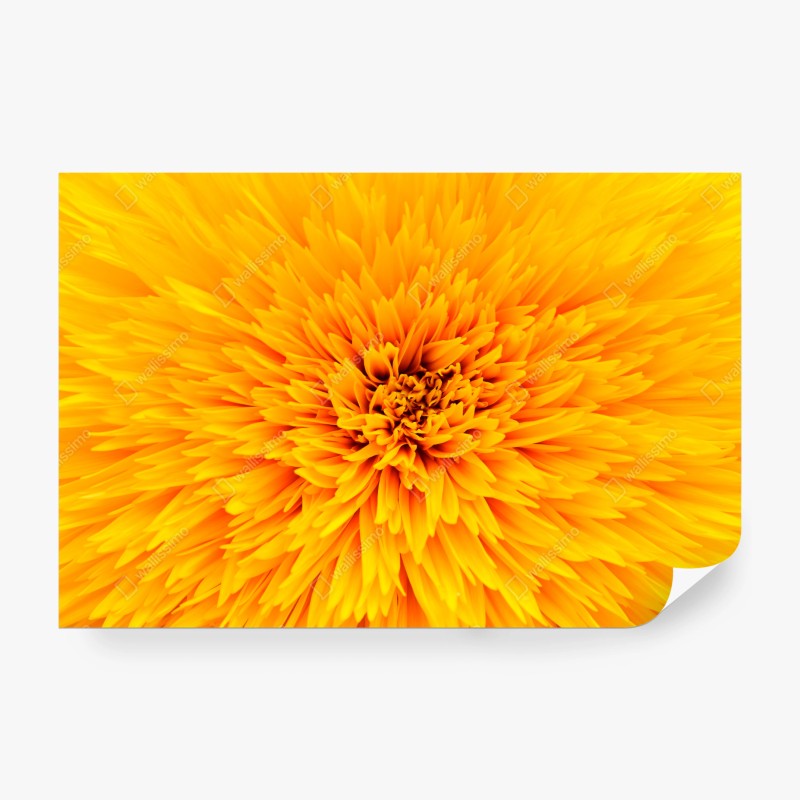 Fototapete elegantes graues damastmuster – Wallnifity®