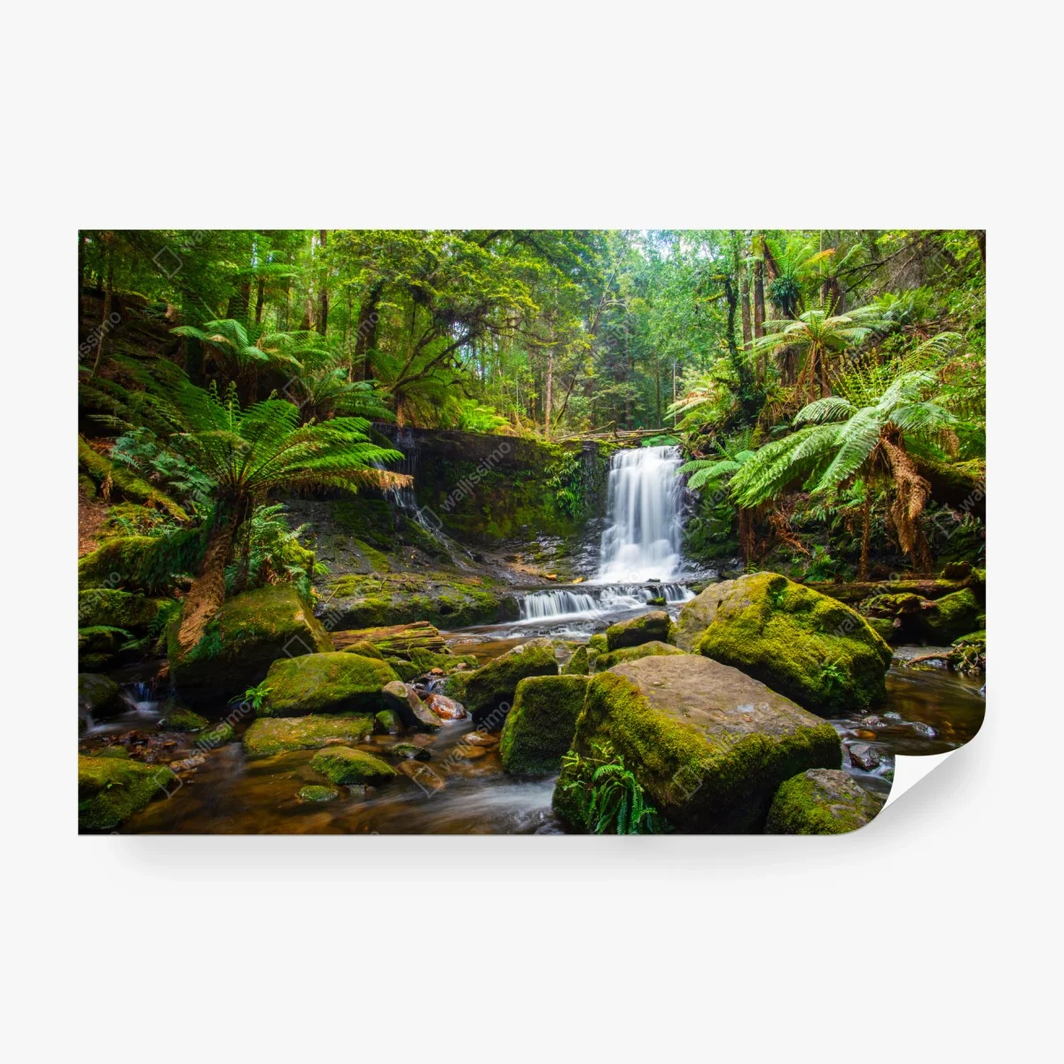 Fototapete üppiger waldwasserfall – Wallnifity® Fototapete üppiger waldwasserfall – Wallnifity®