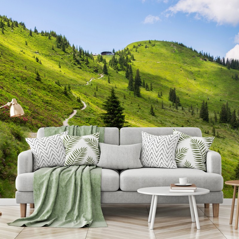 Fototapete sonniger bergpfad durch grüne wiese – Wallnifity®