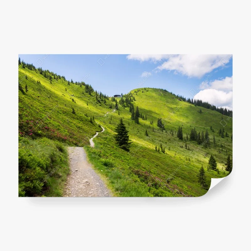 Fototapete sonniger bergpfad durch grüne wiese