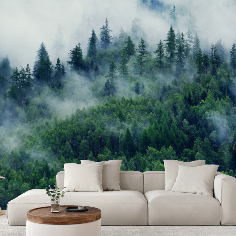 Fototapete nebliger grüner wald – Wallnifity®