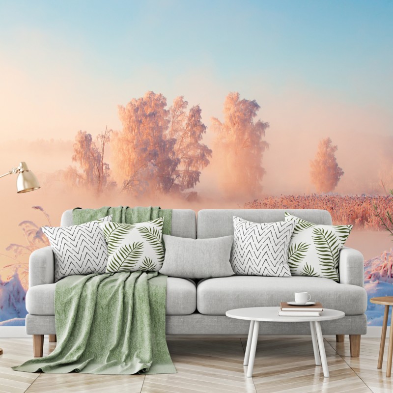 Fototapete winterlicher sonnenaufgang über einer frostigen wiese – Wallnifity®