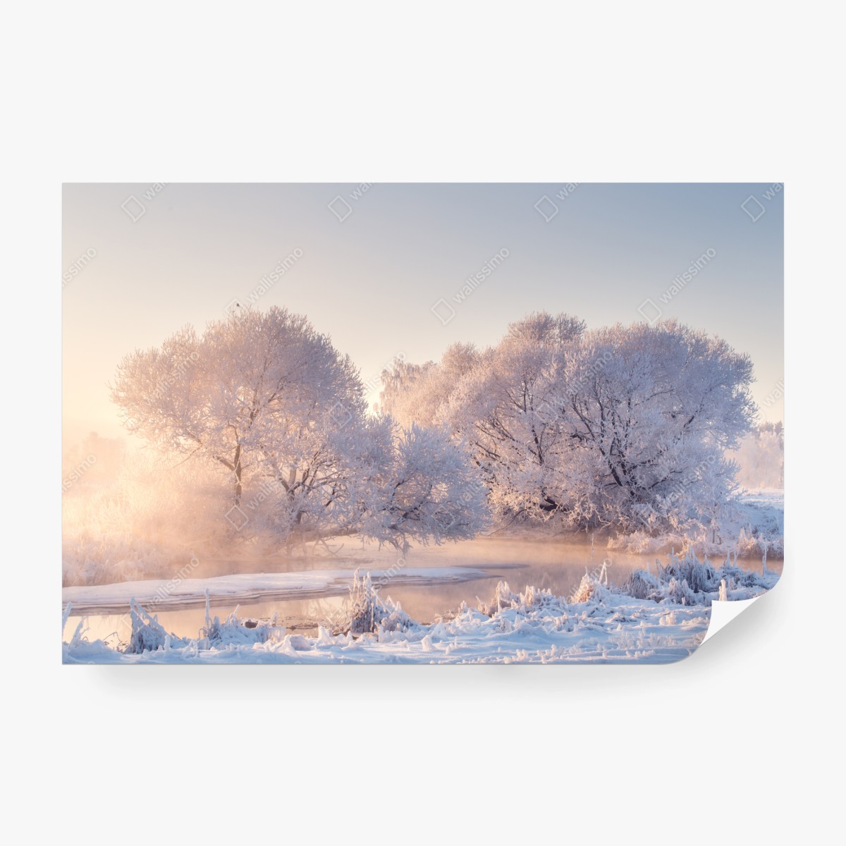 Fototapete raureifbedeckte bäume bei sonnenaufgang – Wallnifity®