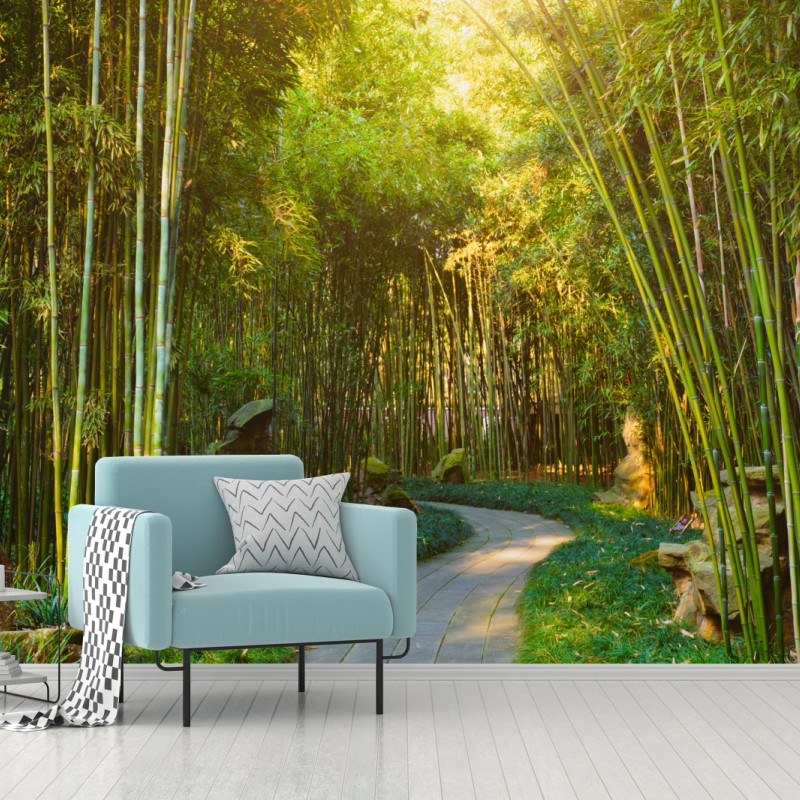 Fototapete ruhiger bambuswald mit pfad – Wallnifity®