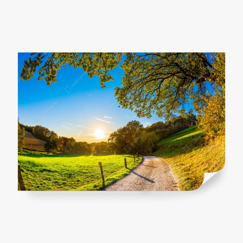 Fototapete ruhiger bambuswald mit pfad – Wallnifity®