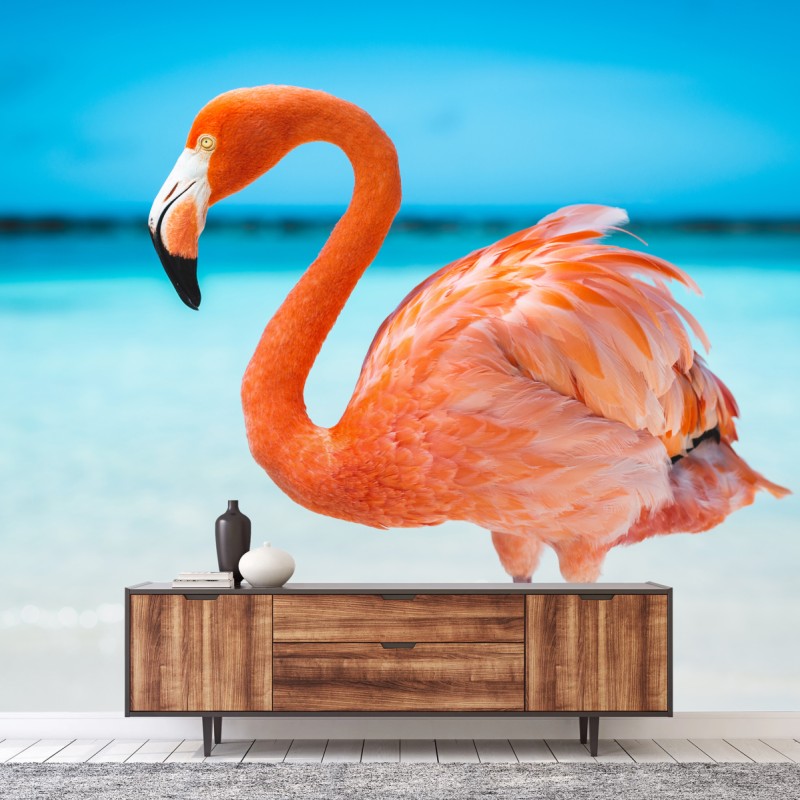 Fototapete leuchtender rosa flamingo am türkisfarbenen strand – Wallnifity®