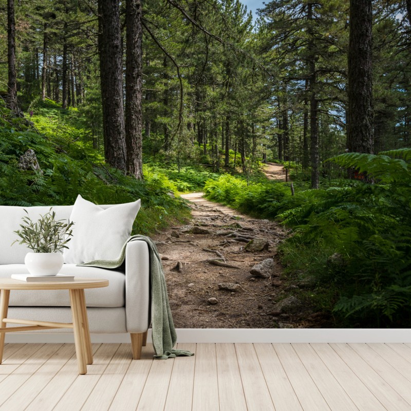 Fototapete ruhiger waldpfad durch üppiges grün – Wallnifity®