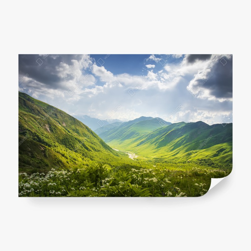 Fototapete rosa bonbonspirale – Wallnifity®