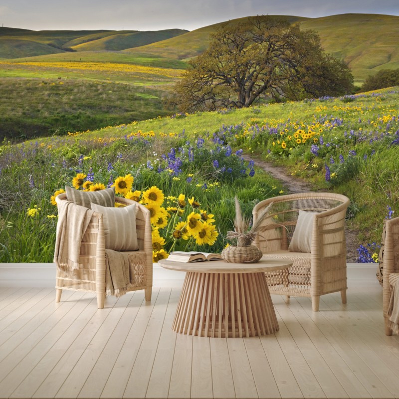 Fototapete pfad durch blumenwiese mit eichenbaum – Wallnifity®