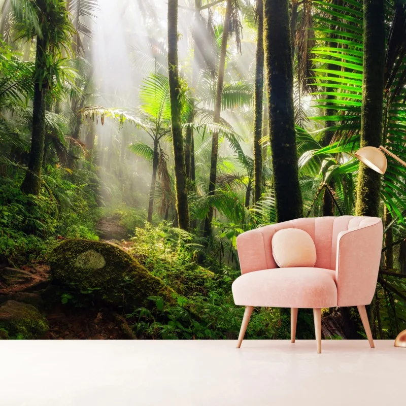 Fototapete tropischer regenwald mit sonnenstrahlen – Wallnifity®