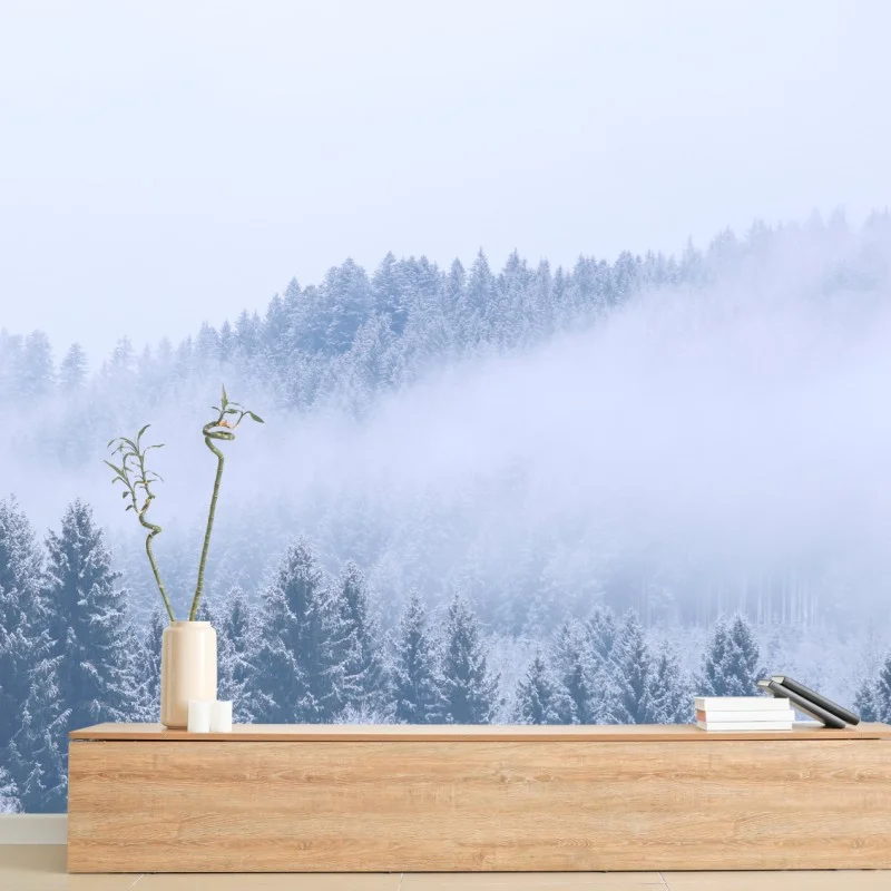 Fototapete winternebel über nadelwald