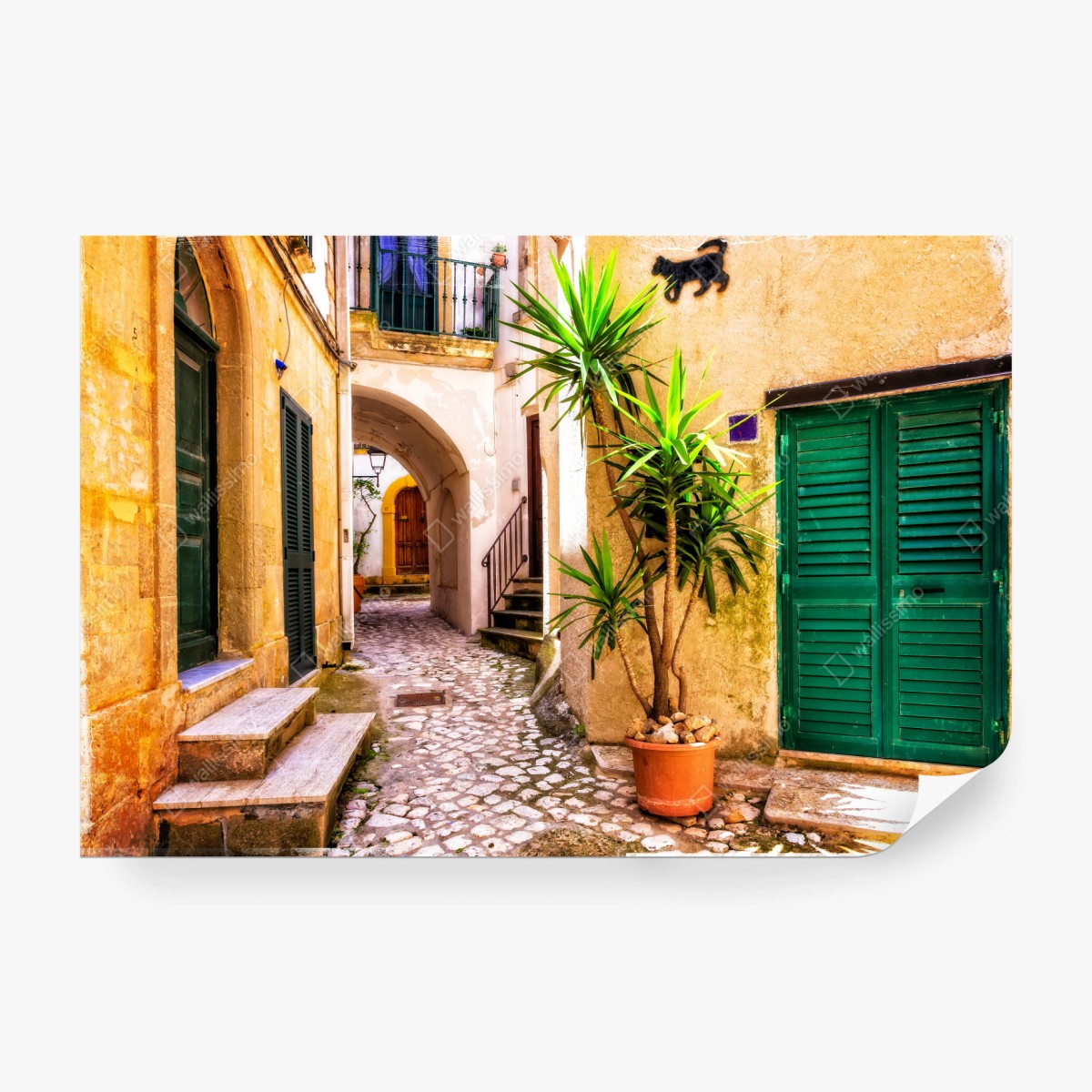 Fototapete sonnige mediterrane gasse mit grünen jalousien – Wallnifity®
