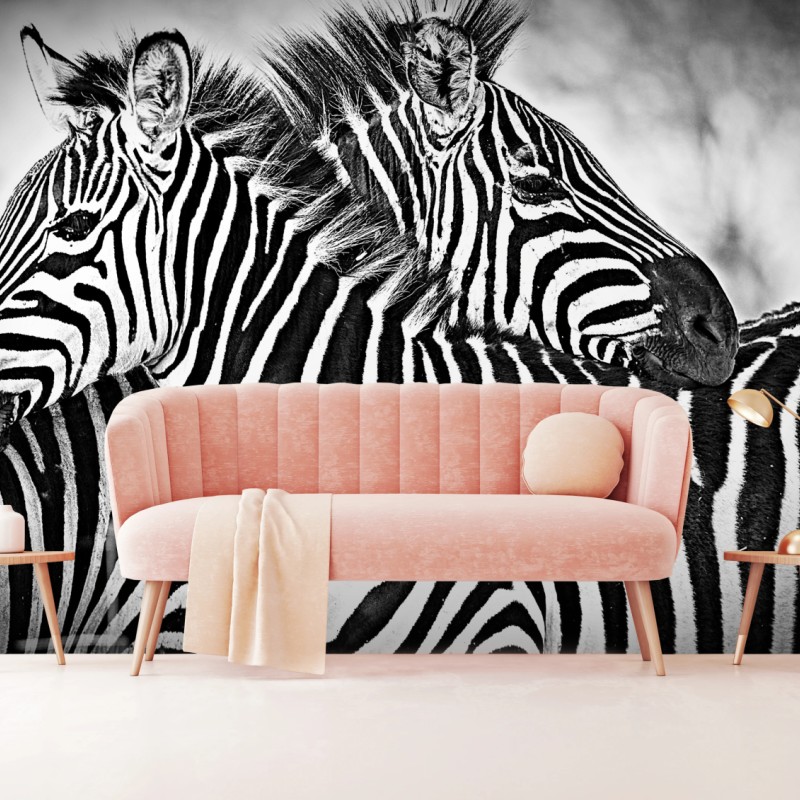 Fototapete intimes zebra-porträt in schwarzweiß – Wallnifity®