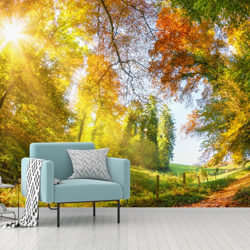 Fototapete goldener herbstwaldweg – Wallnifity®