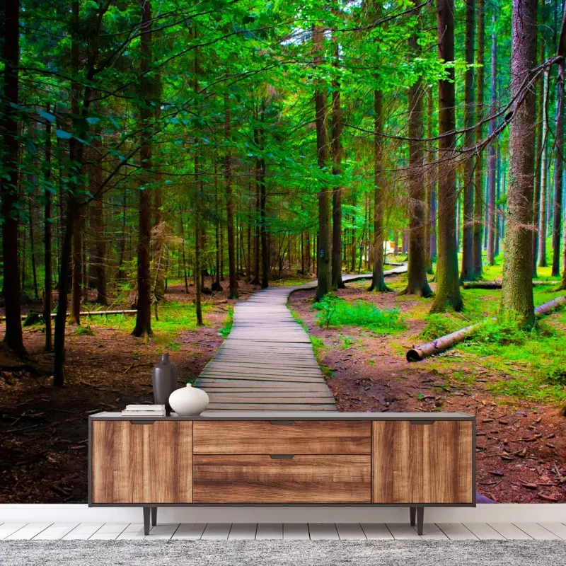 Fototapete ruhiger waldsteg im grünen
