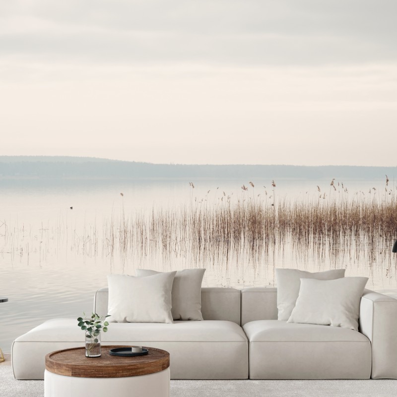 Fototapete ruhige schilfzone am see – Wallnifity®