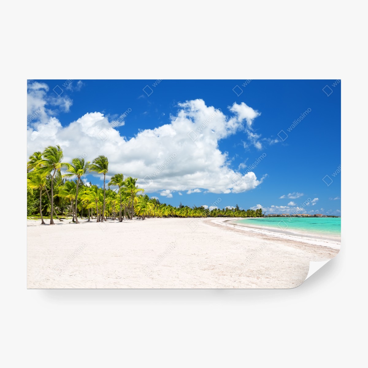 Fototapete tropischer strand in Punta Cana – Wallnifity®