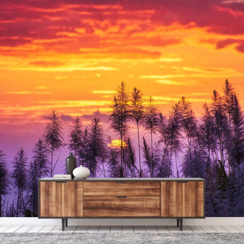 Fototapete goldener sonnenuntergang über wildgräsern – Wallnifity®