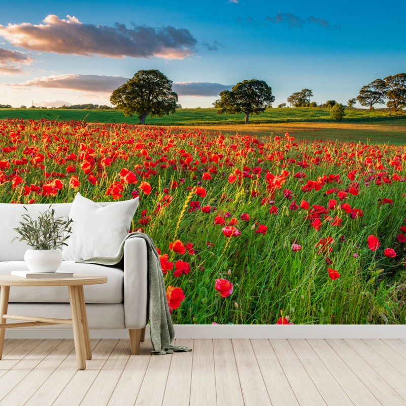 Fototapete rotes mohnfeld bei Corbridge – Wallnifity®