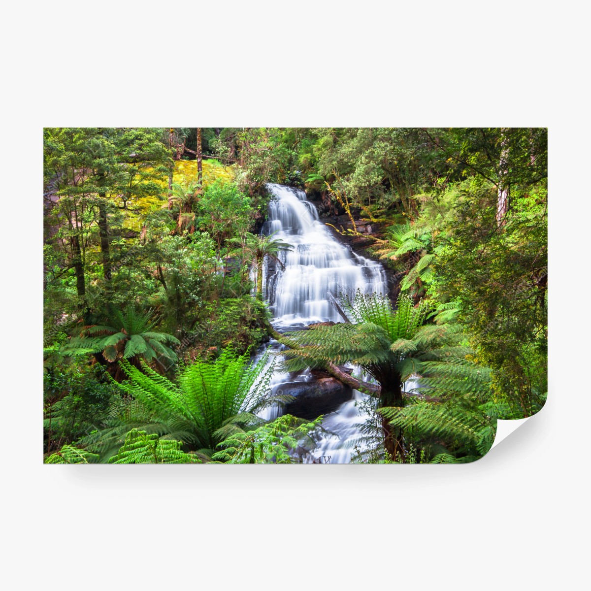 Fototapete Triplet Falls wasserfall im Great Otway National Park – Wallnifity®
