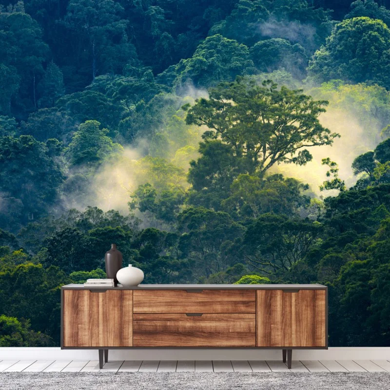 Fototapete nebliger regenwald mit baumkronen – Wallnifity®