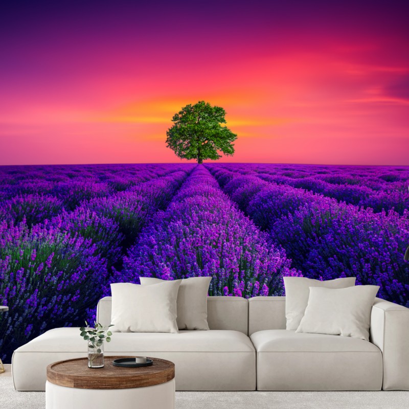 Fototapete lavendelfeld bei sonnenuntergang mit einsamem baum – Wallnifity®