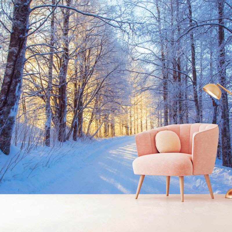 Fototapete birkenwald im winter bei sonnenaufgang – Wallnifity®