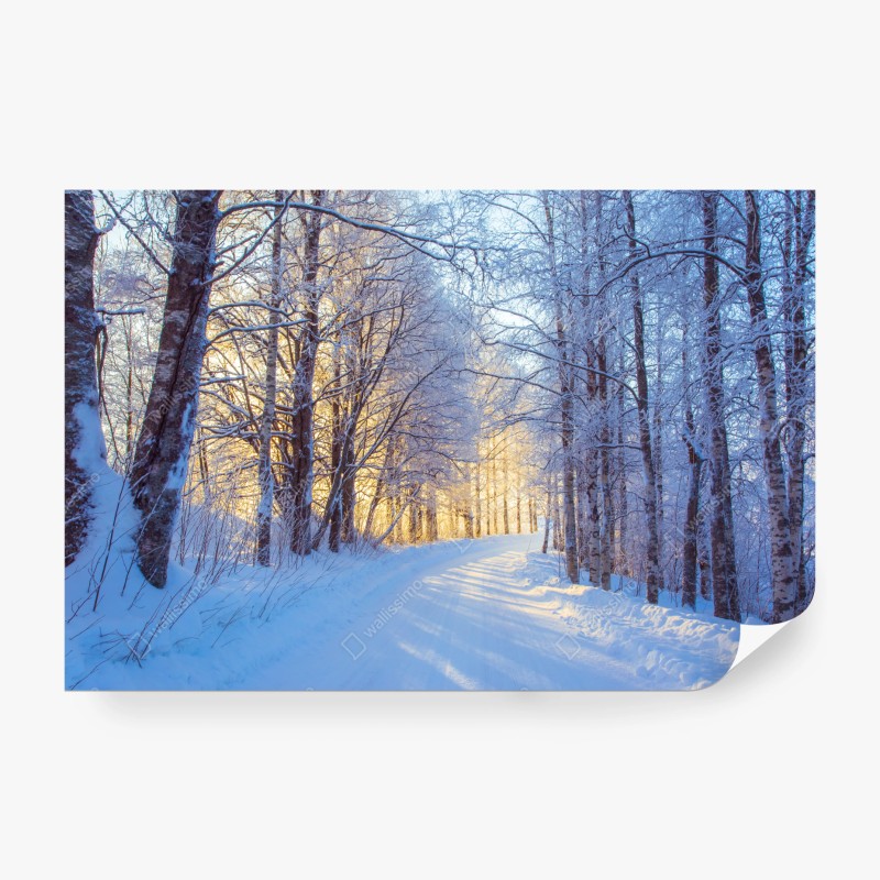 Fototapete herbstliche berglandschaft mit fluss – Wallnifity®