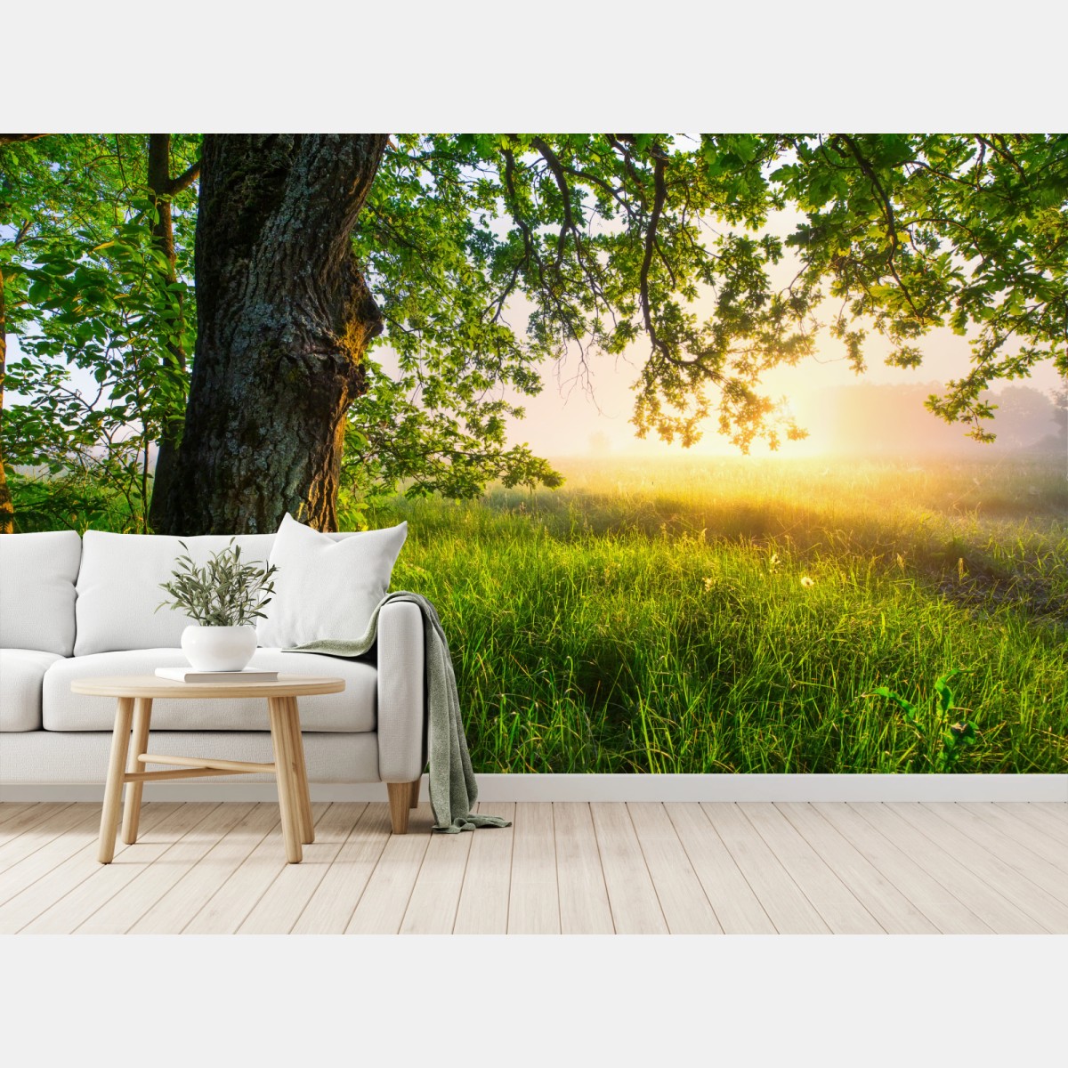 Fototapete morgendliche eiche auf sonnenbeschienener wiese – Wallnifity®