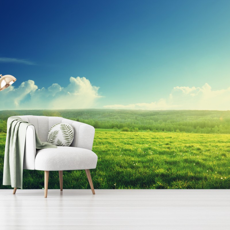 Fototapete sonnige frühlingswiese im abendlicht – Wallnifity®