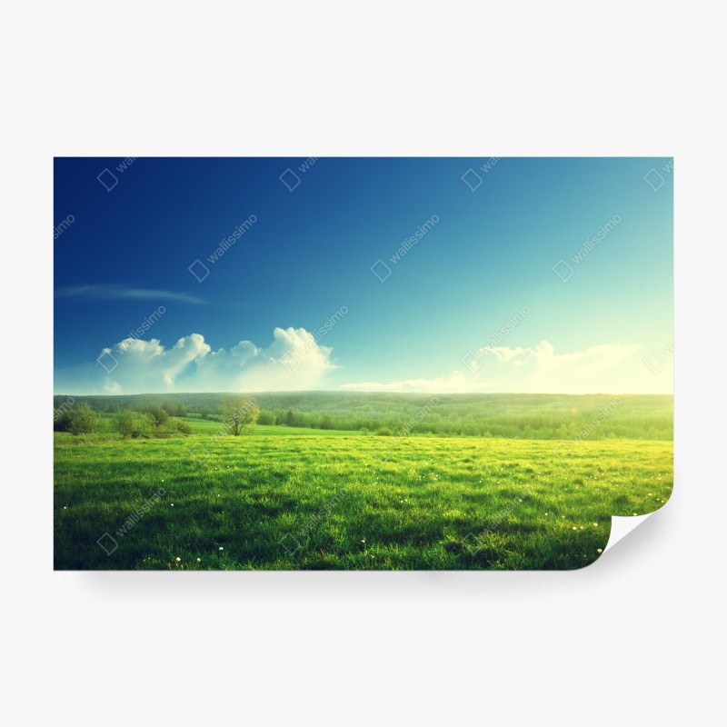 Fototapete erdige abstrakte blätter – Wallnifity®