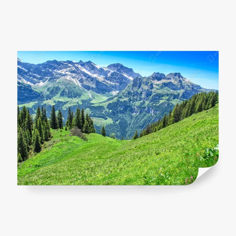Fototapete – Wallnifity®