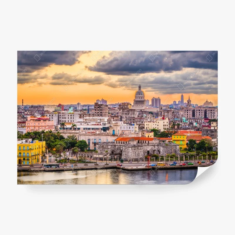 Fototapete goldene rosen vor schwarzem hintergrund – Wallnifity®