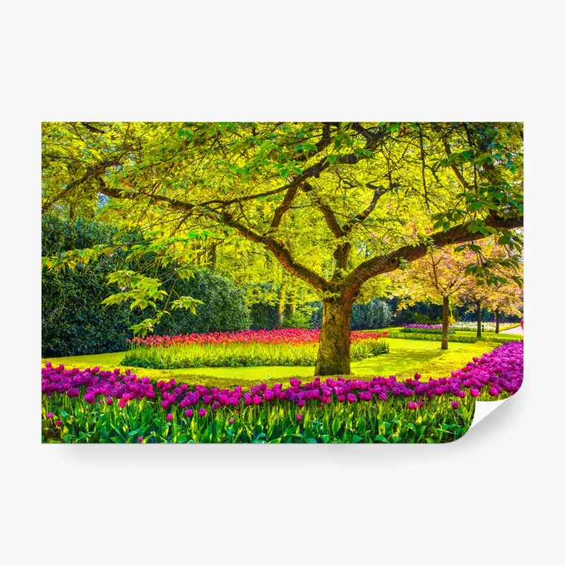 Fototapete bunter tulpengarten in Keukenhof