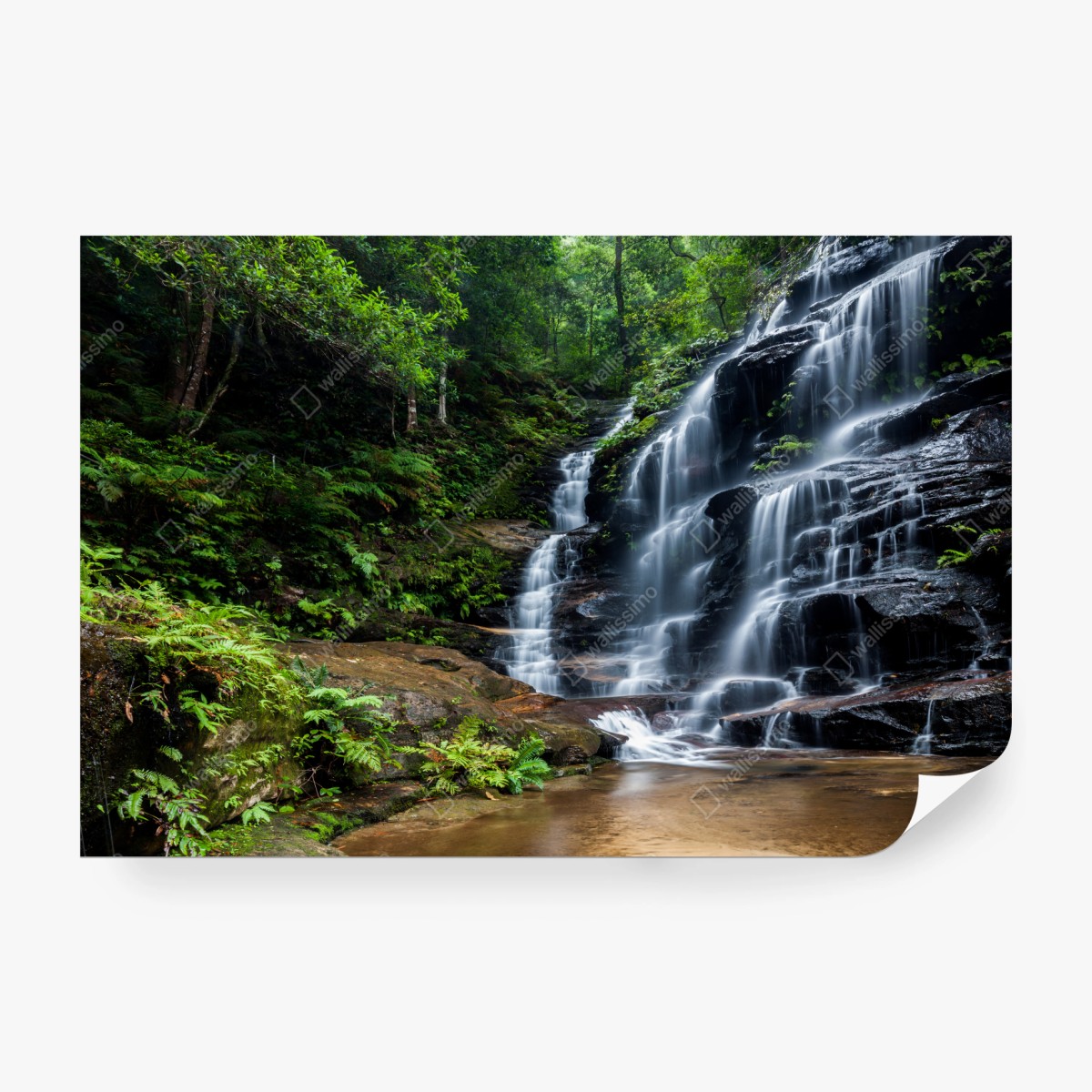 Fototapete ruhiger wasserfall im wald – Wallnifity®