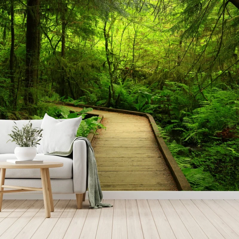 Fototapete ruhiger grüner waldsteg – Wallnifity®