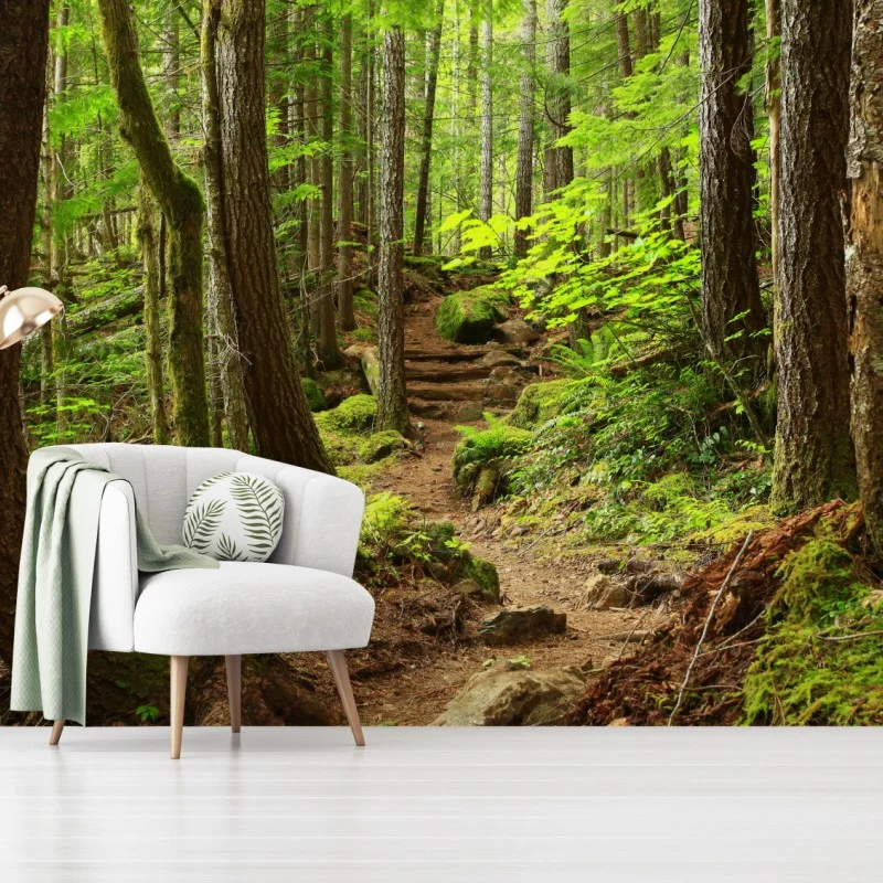 Fototapete moosiger waldpfad – Wallnifity®