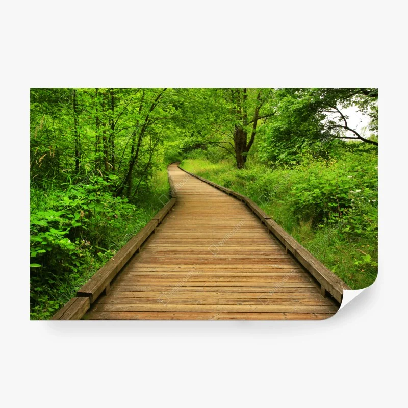 Fototapete ruhiger holzsteg im wald – Wallnifity®