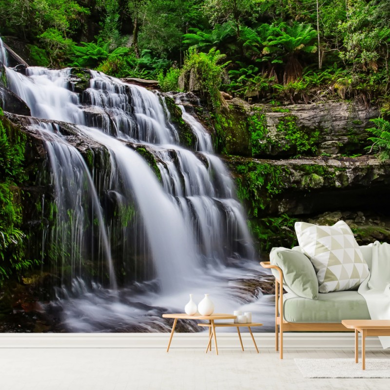Fototapete wasserfall Liffey Falls im üppigen Regenwald von Tasmanien – Wallnifity®