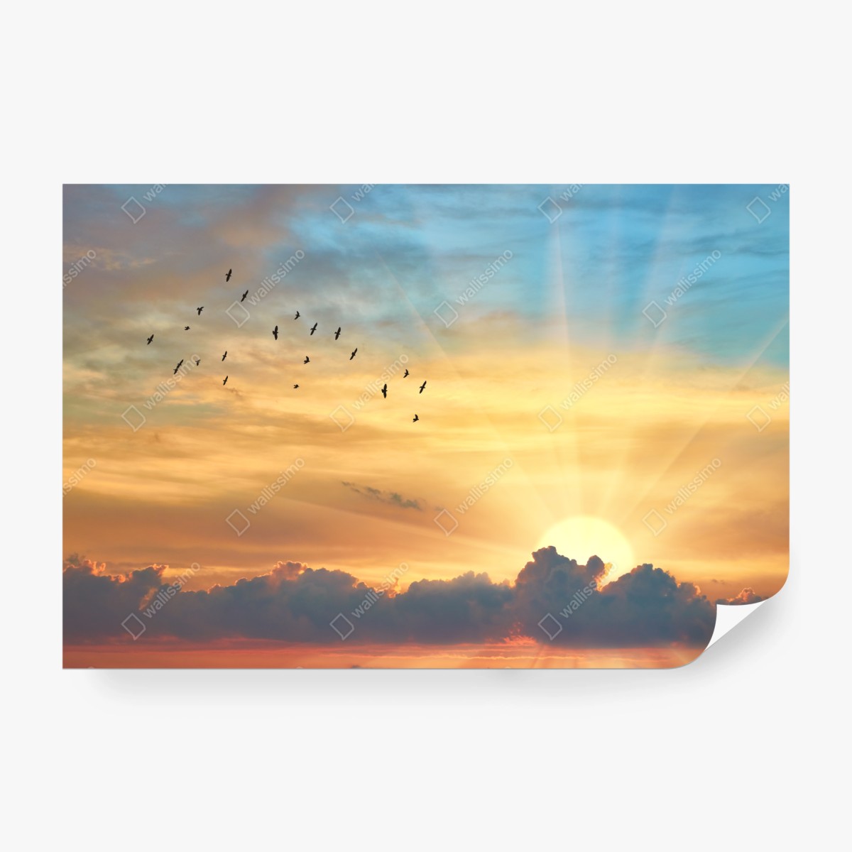 Fototapete goldener sonnenaufgang über den wolken – Wallnifity®